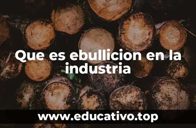 Que es ebullicion en la industria