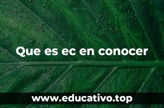 La importancia de medir el conocimiento en el análisis de mercado