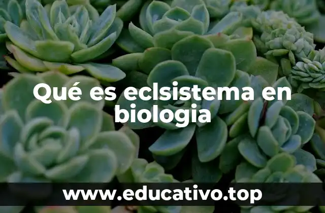 Qué es eclsistema en biologia