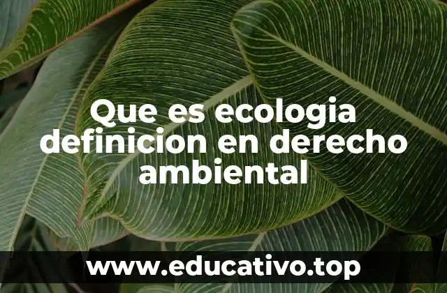 Que es ecologia definicion en derecho ambiental
