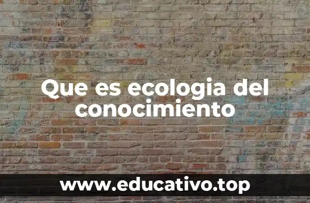 Que es ecologia del conocimiento