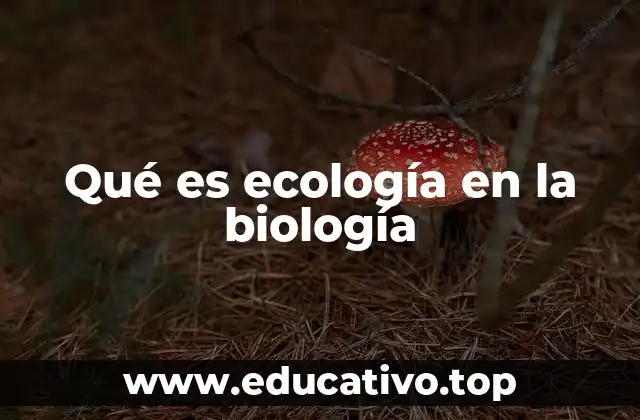 Qué es ecología en la biología