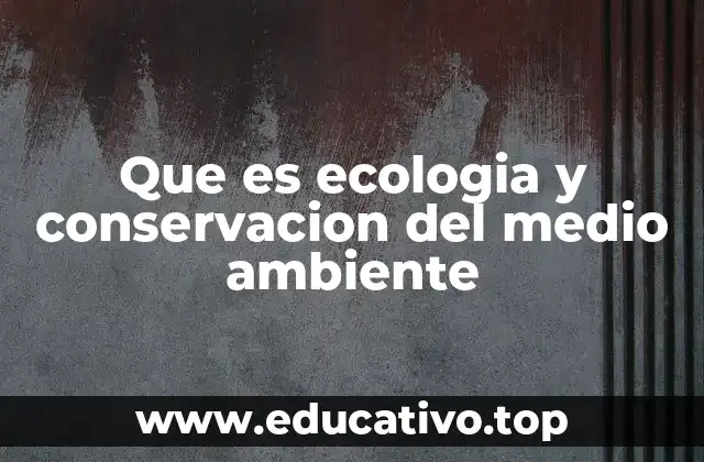 Que es ecologia y conservacion del medio ambiente