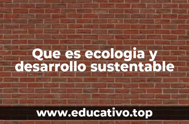 La importancia de integrar la ecología en el crecimiento económico