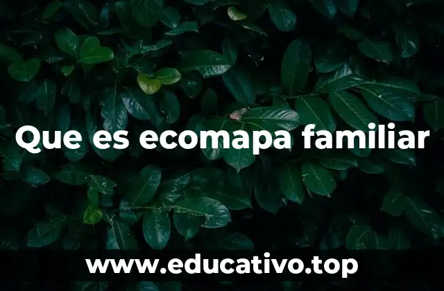 Que es ecomapa familiar