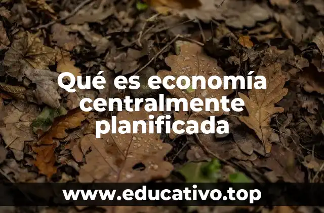 Qué es economía centralmente planificada