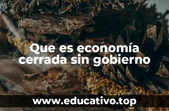 Que es economía cerrada sin gobierno