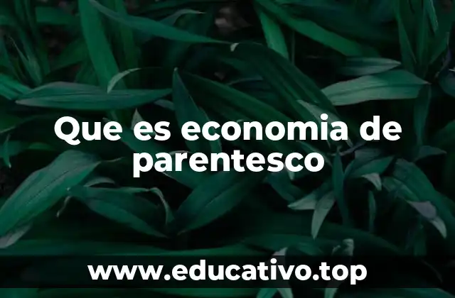 Que es economia de parentesco
