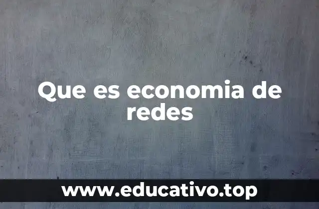 Que es economia de redes