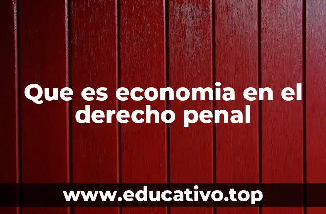 Que es economia en el derecho penal