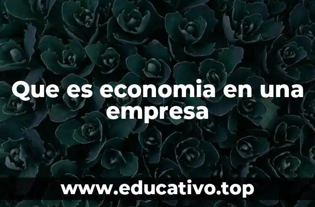 Que es economia en una empresa