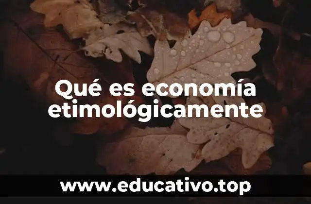 Qué es economía etimológicamente