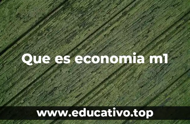 Que es economia m1
