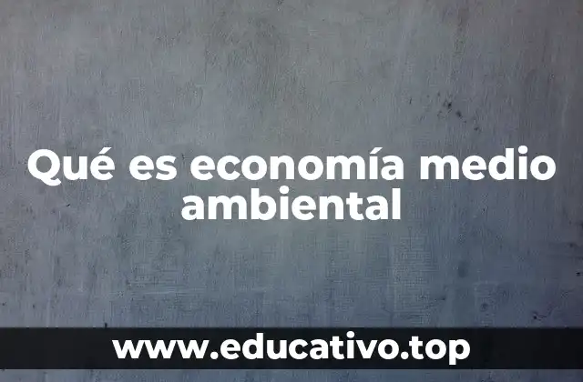 Qué es economía medio ambiental