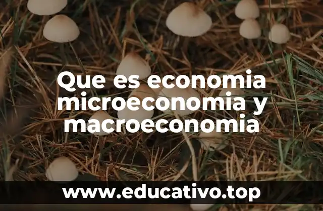 Que es economia microeconomia y macroeconomia
