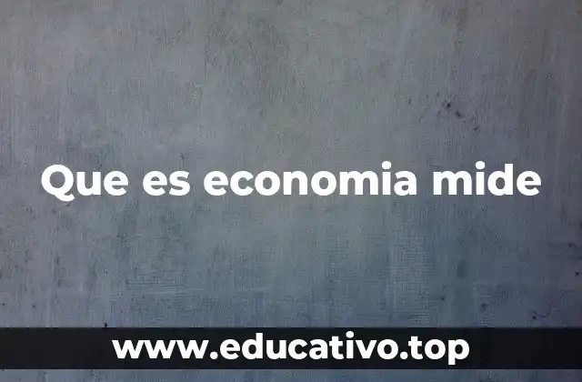 Que es economia mide