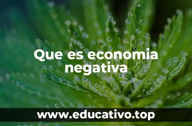 Que es economia negativa