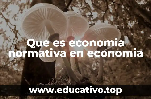 Que es economia normativa en economia