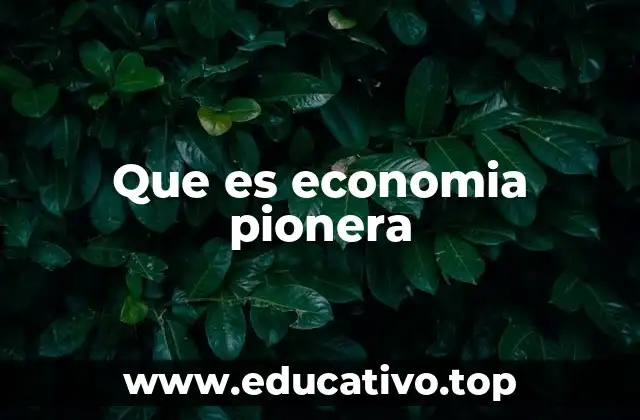Que es economia pionera