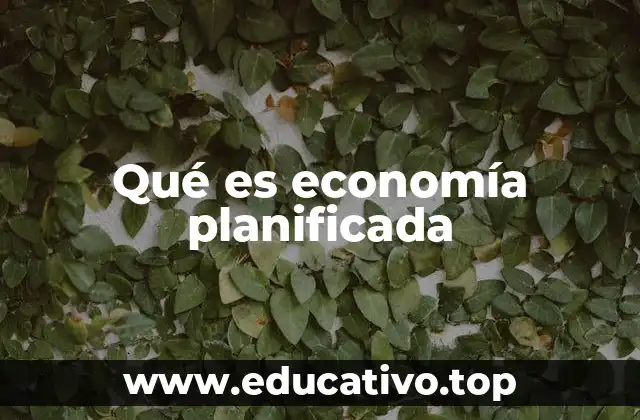 Qué es economía planificada
