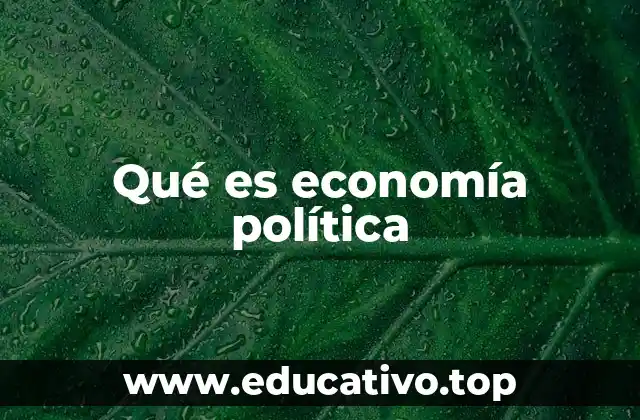 Qué es economía política
