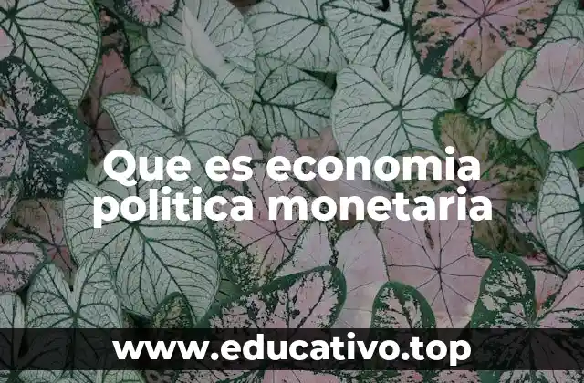 Que es economia politica monetaria