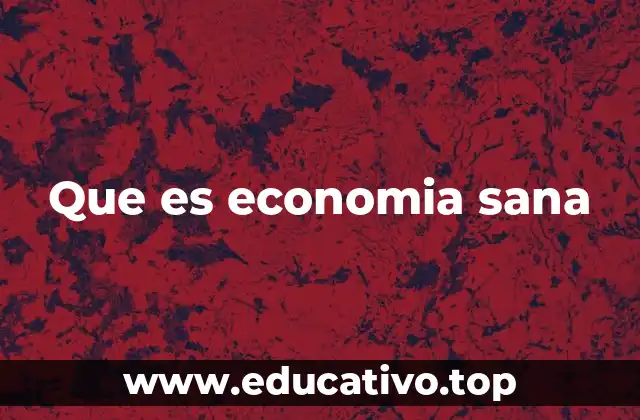 Que es economia sana