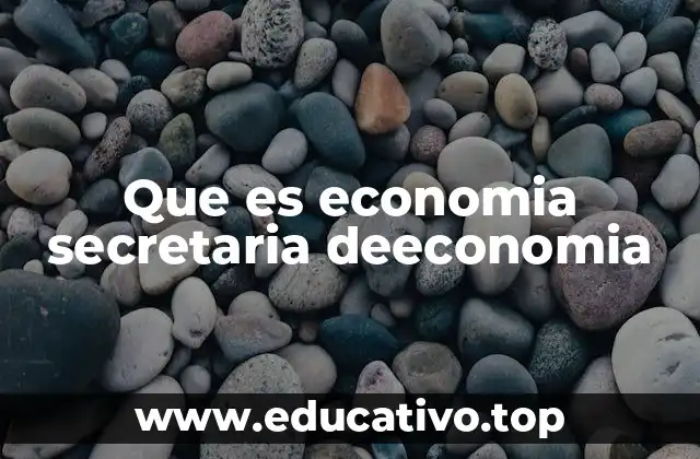 Que es economia secretaria deeconomia
