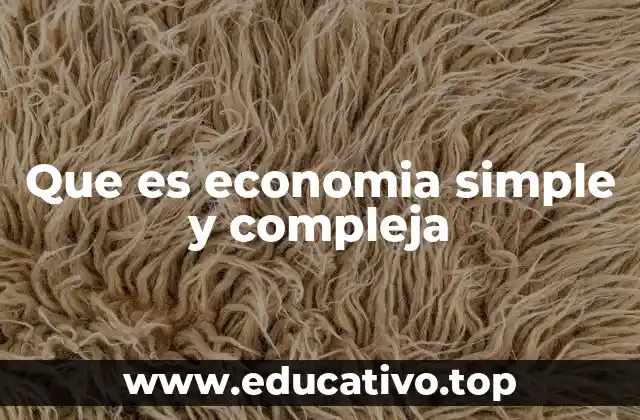 Que es economia simple y compleja