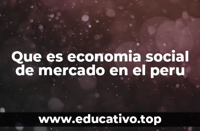Que es economia social de mercado en el peru