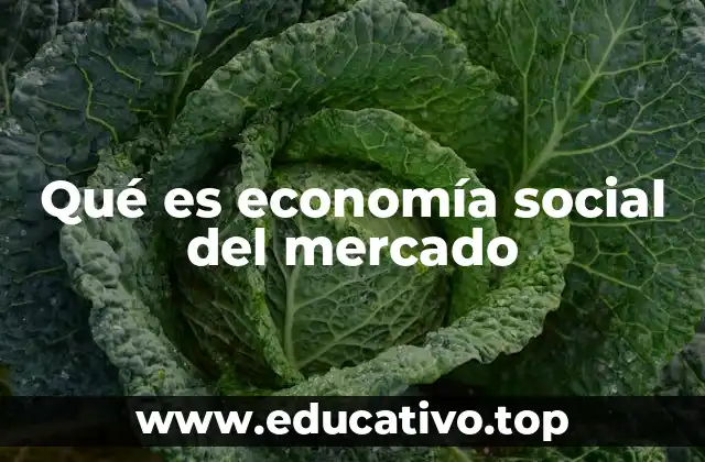 Qué es economía social del mercado