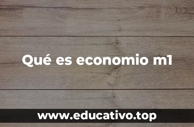 Qué es economio m1
