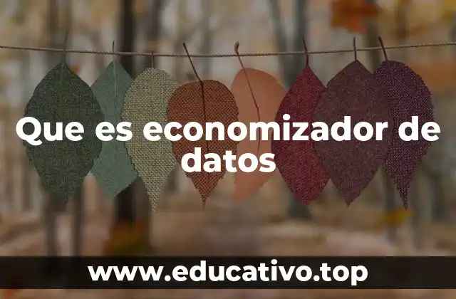 Que es economizador de datos