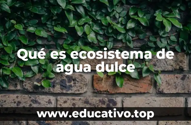 Características principales de los ecosistemas de agua dulce