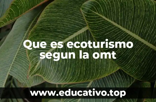 Que es ecoturismo segun la omt