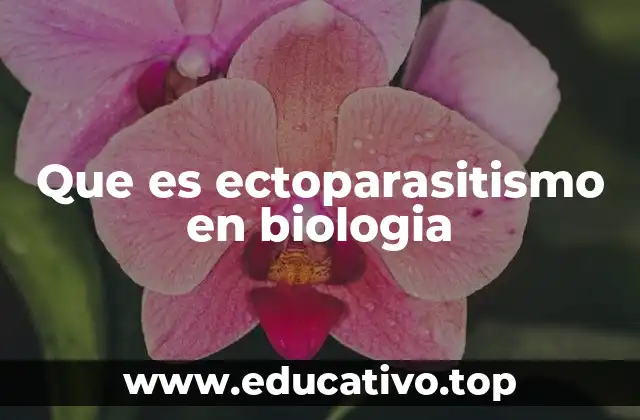 Que es ectoparasitismo en biologia