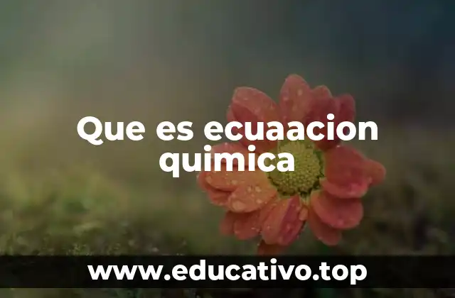 Que es ecuaacion quimica