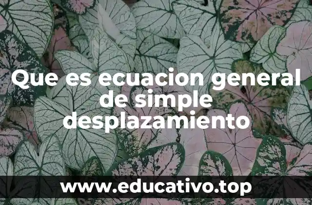 Movimiento rectilíneo y su importancia en física