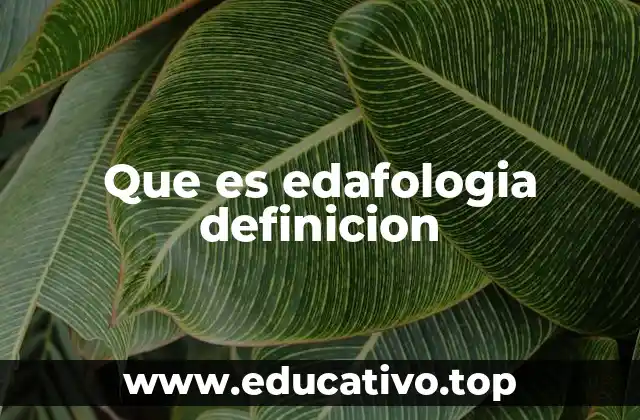 Que es edafologia definicion