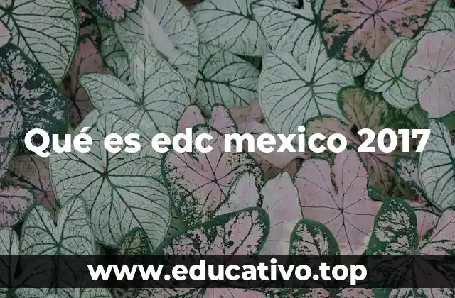 Qué es edc mexico 2017