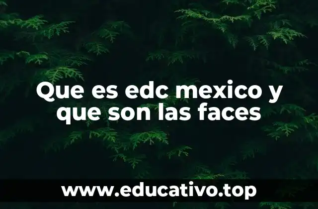 Que es edc mexico y que son las faces