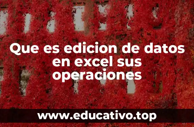 Que es edicion de datos en excel sus operaciones