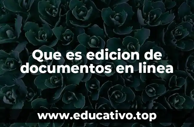 Que es edicion de documentos en linea