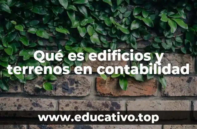Qué es edificios y terrenos en contabilidad