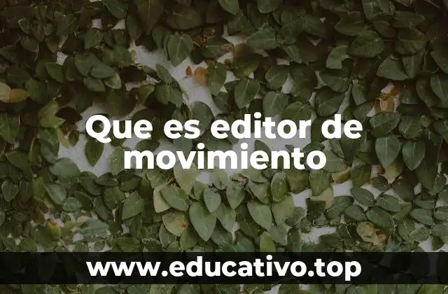 Que es editor de movimiento