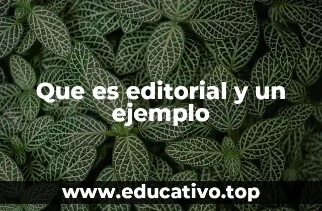 Que es editorial y un ejemplo