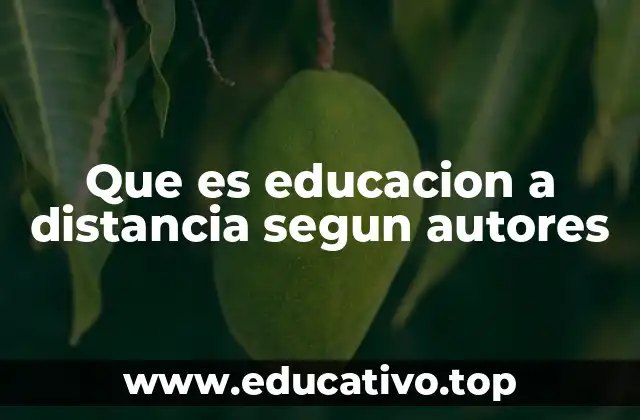 Que es educacion a distancia segun autores