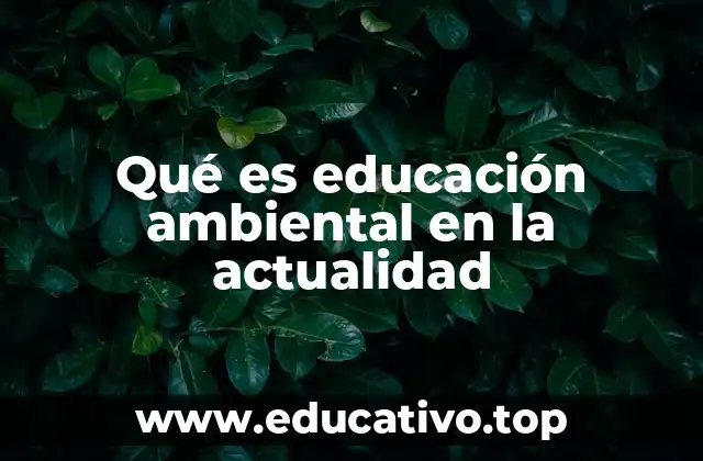 Qué es educación ambiental en la actualidad