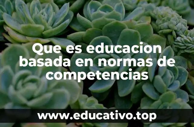 Que es educacion basada en normas de competencias