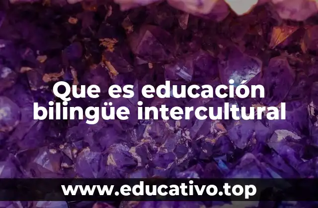 Que es educación bilingüe intercultural
